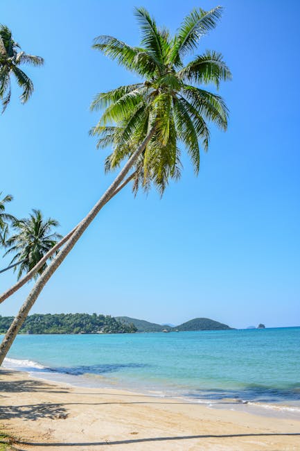 Idyllic palm-lined beach on Ko Mak Island, Trat, Thailand, with crystal clear water and blue sky.