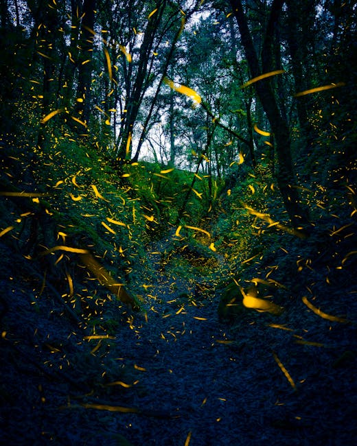 A faint glow traces the mycelial network beneath decaying wood in Olympic National Park.
