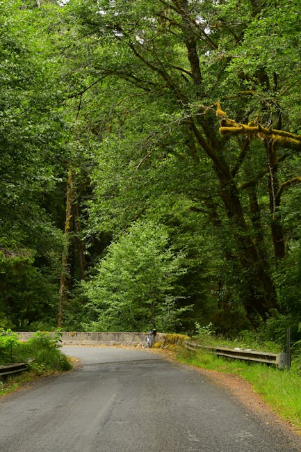 A fiber-optic scope reveals glowing hyphae connecting tree roots in a protected observation tunnel.