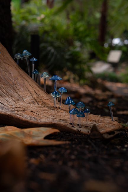 Glowworms illuminate the ceiling of a Waitomo cave, where mycelium quietly supports the entire ecosystem.