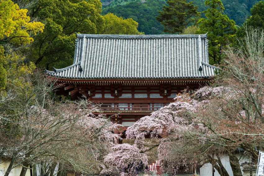 Spring spiritual destinations photo by Guohua Song