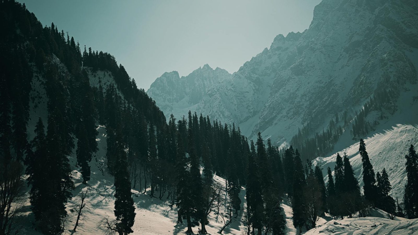 Amarnath Yatra 2026: Complete Registration, Routes & Helicopter Guide