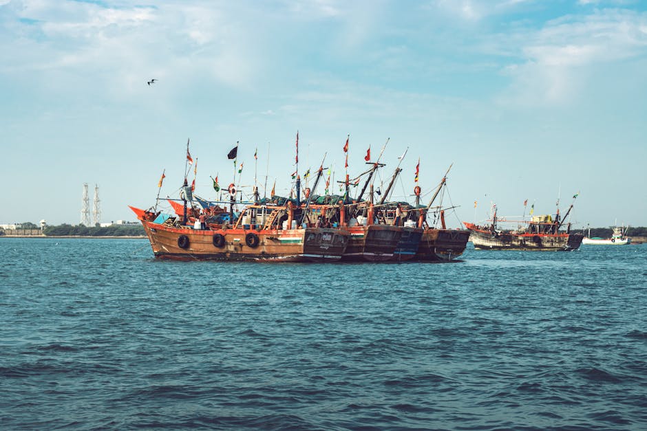 dwarka pilgrimage