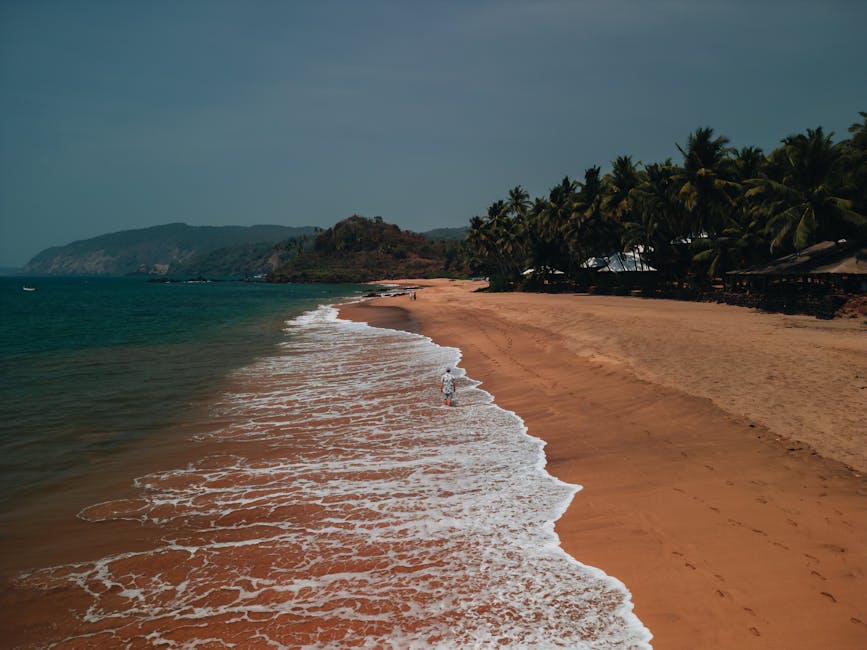 goa travel