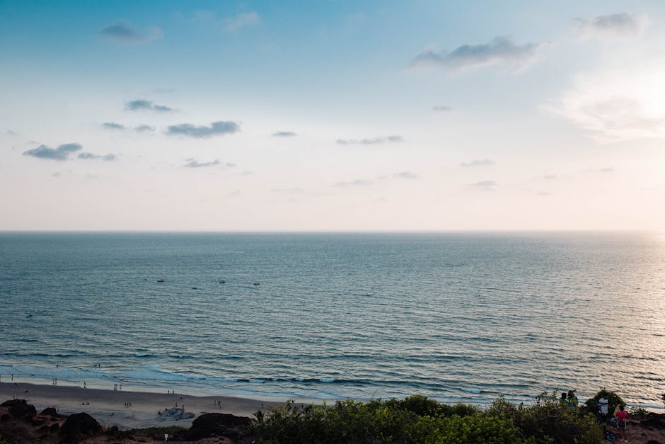 goa travel
