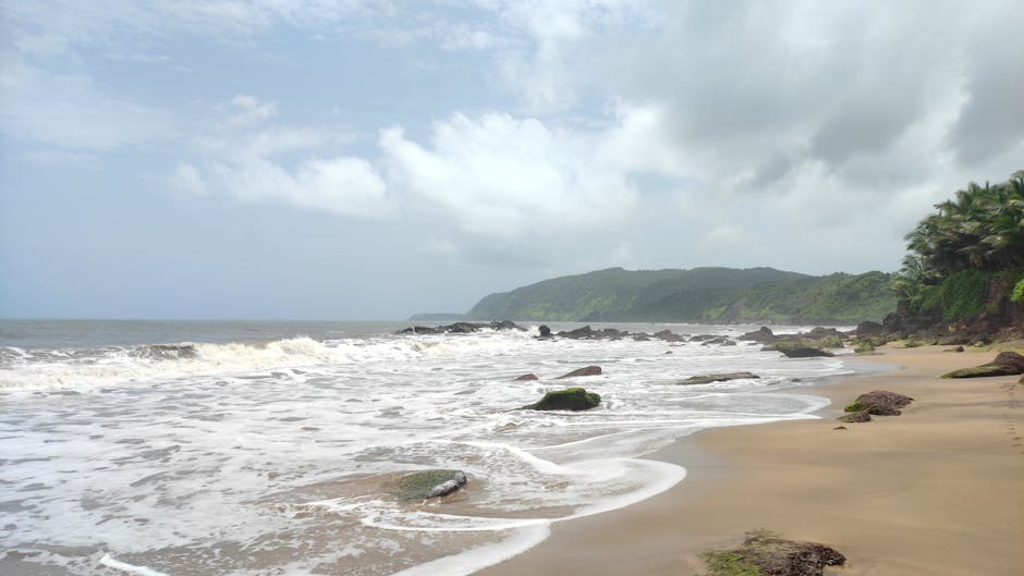 goa travel