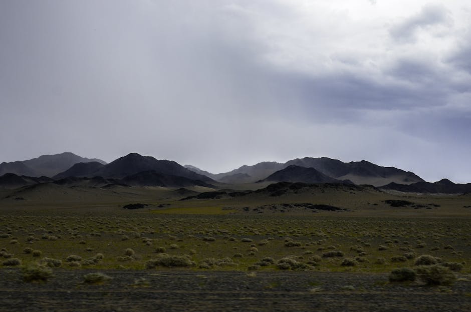 mongolia travel