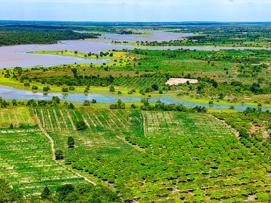 cambodia travel