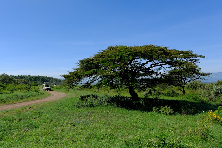 kenya