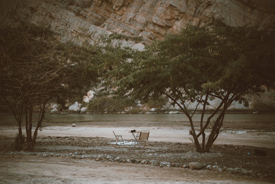 oman travel