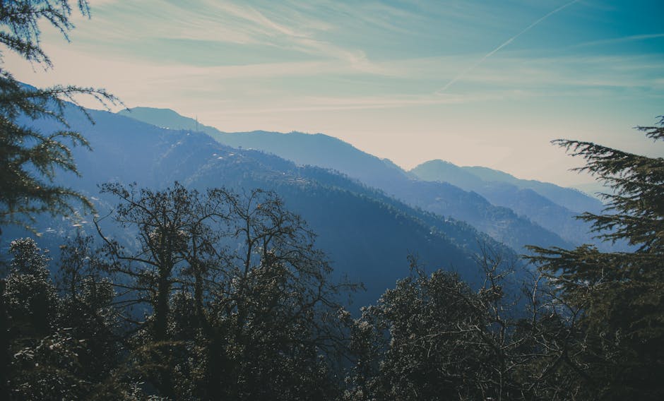 himachal pradesh travel