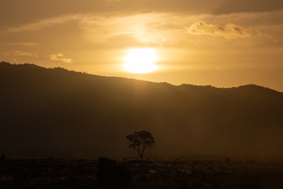 kenya