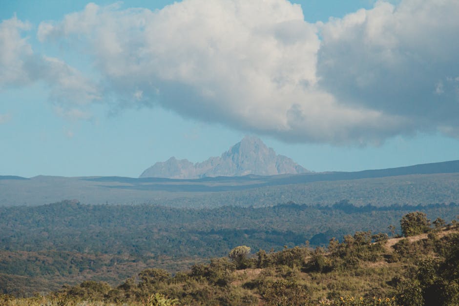kenya