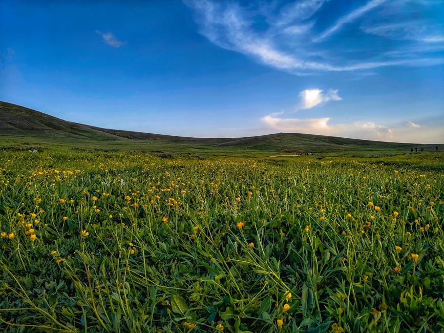 azerbaijan travel
