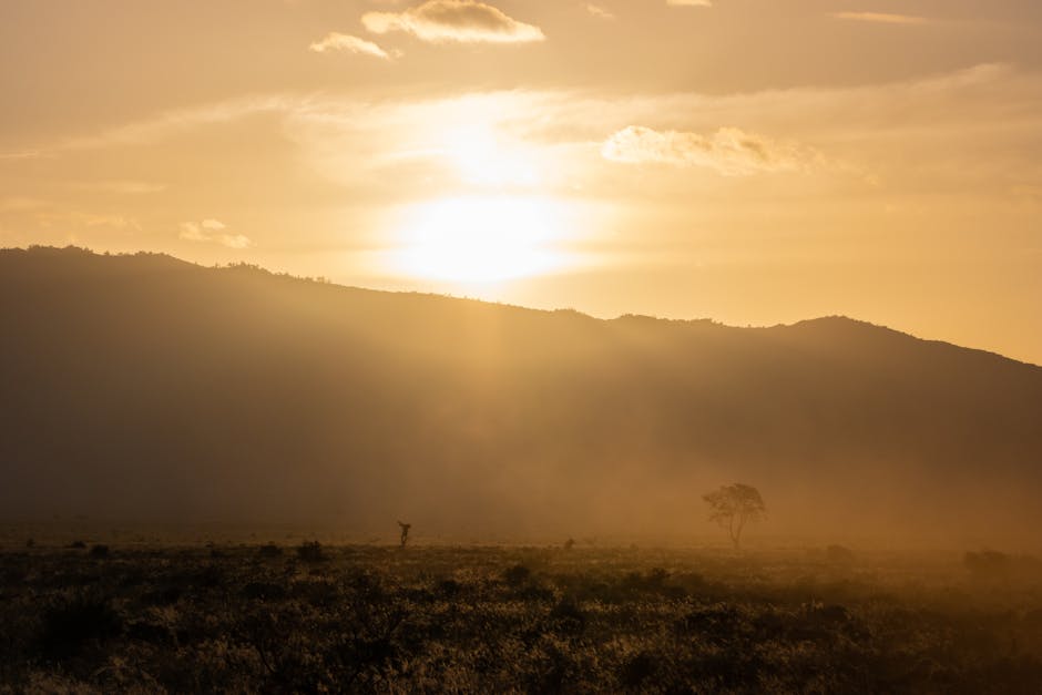 kenya