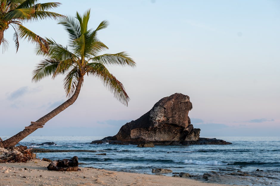 fiji travel