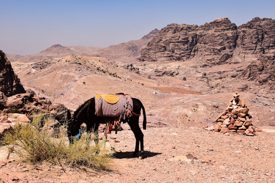 jordan travel