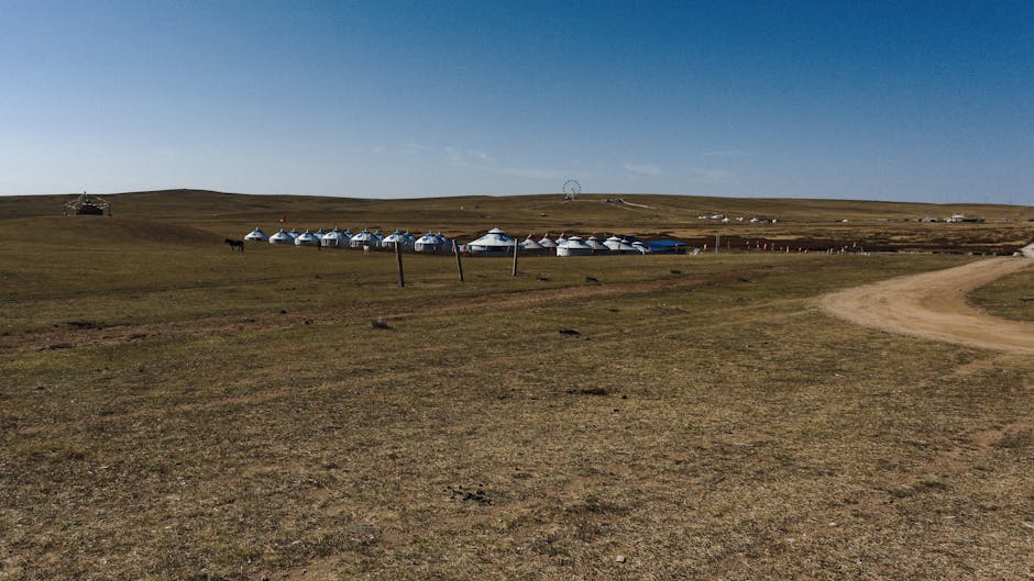 mongolia travel