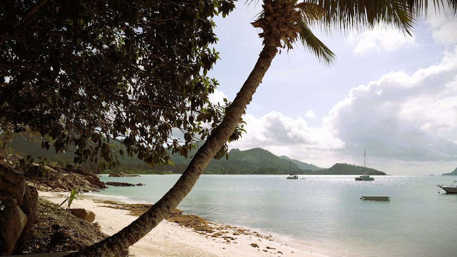 seychelles travel
