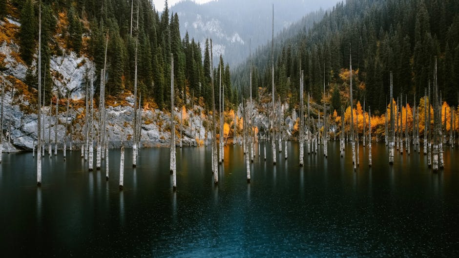 kazakhstan travel