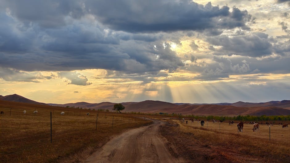 mongolia travel
