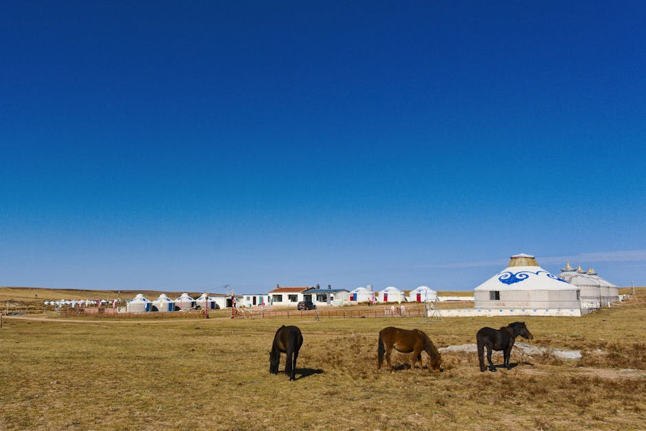 mongolia travel