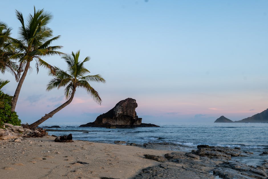 fiji travel