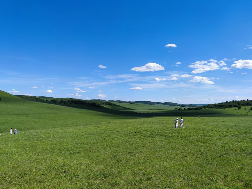 mongolia travel