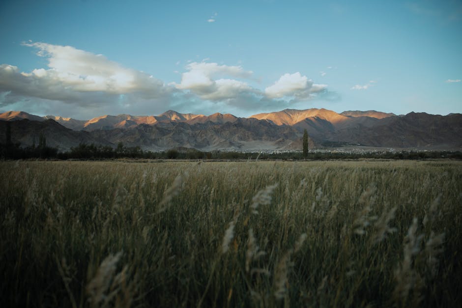 leh ladakh travel