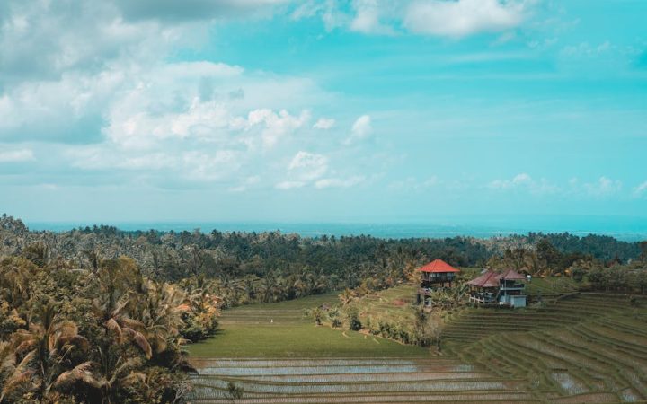Indonesia Travel: What Really Matters