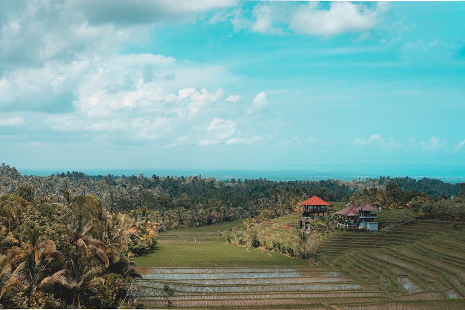 Indonesia Travel: What Really Matters
