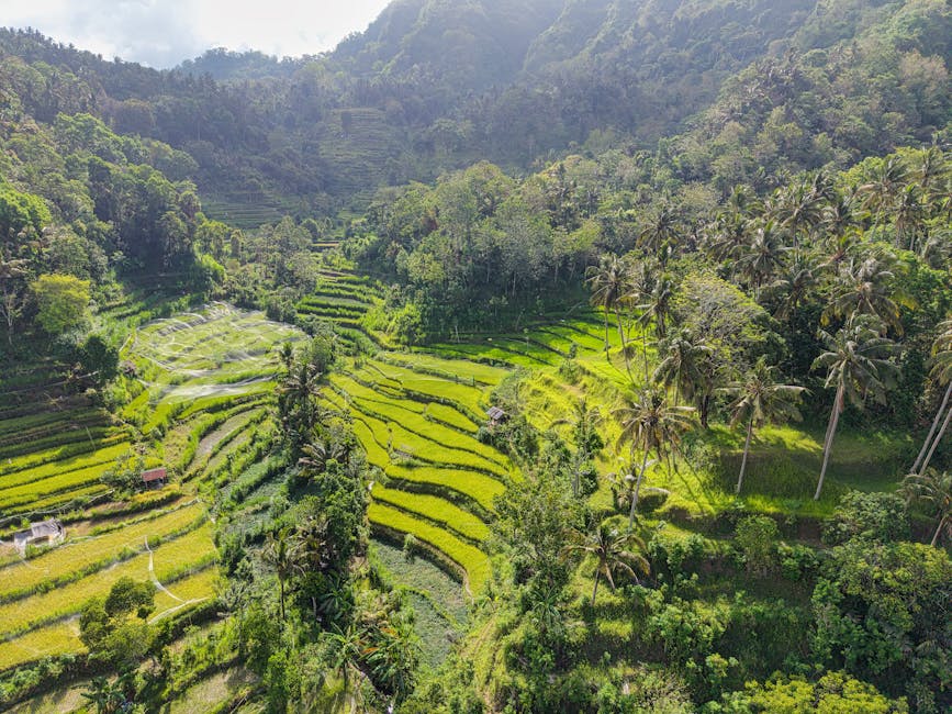 Indonesia travel
