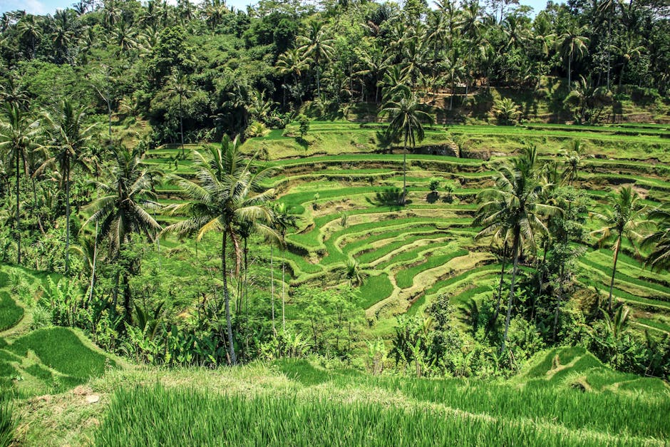 Indonesia travel