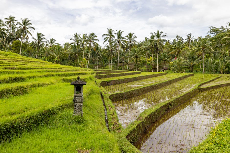 Indonesia travel
