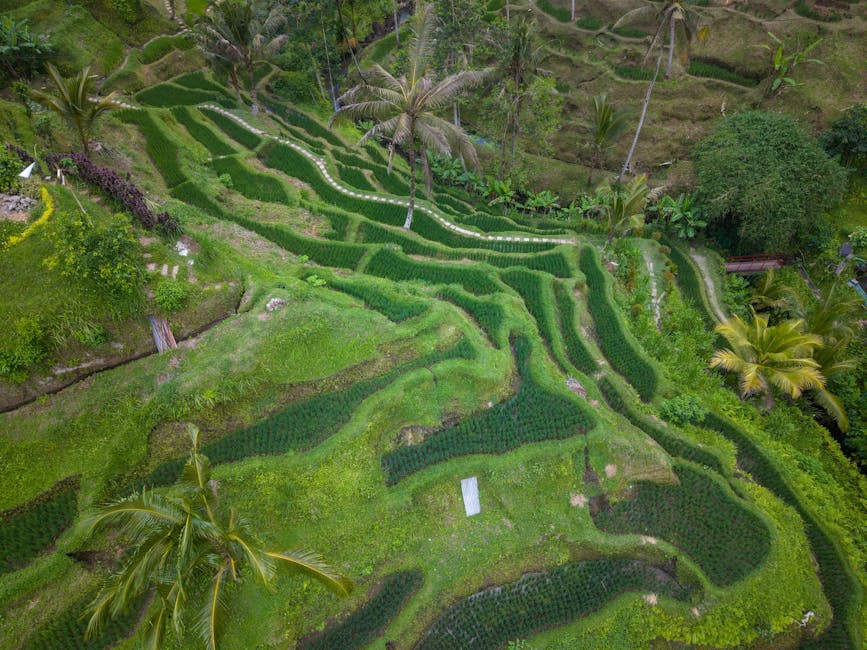 Indonesia travel