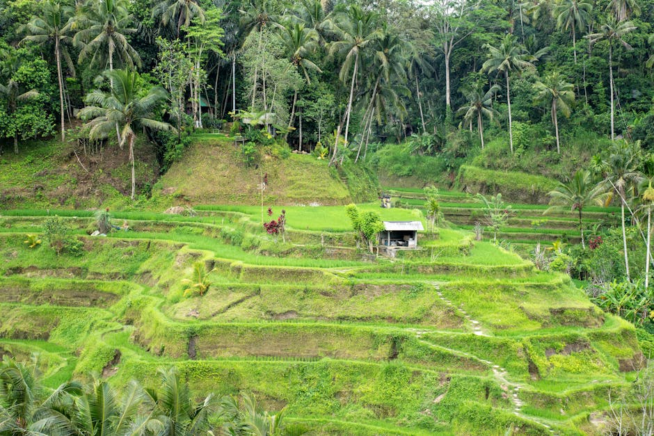 Indonesia travel