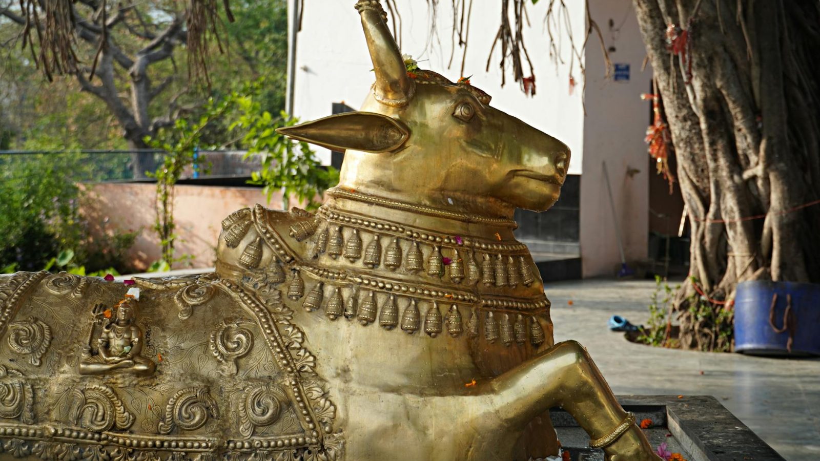 Mahakaleshwar Ujjain 2026: Darshan, Bhasma Aarti, Timings & Travel Guide