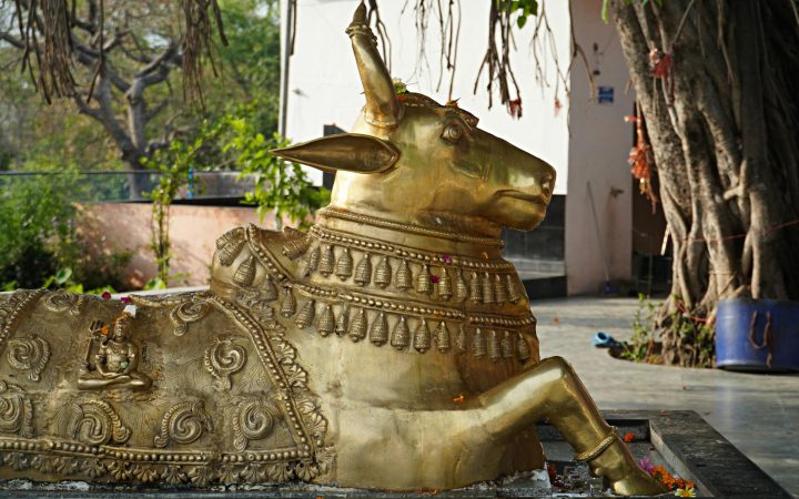 Mahakaleshwar Ujjain 2026: Darshan, Bhasma Aarti, Timings & Travel Guide