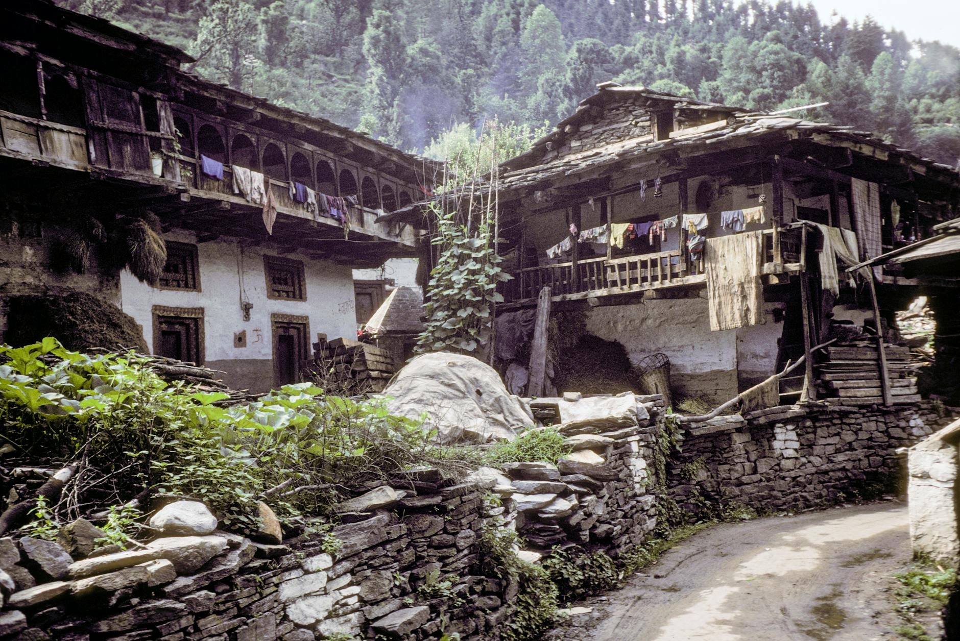 Rustic traditional houses in a Ladakhi village, surrounded by lush green mountains and natural beauty.