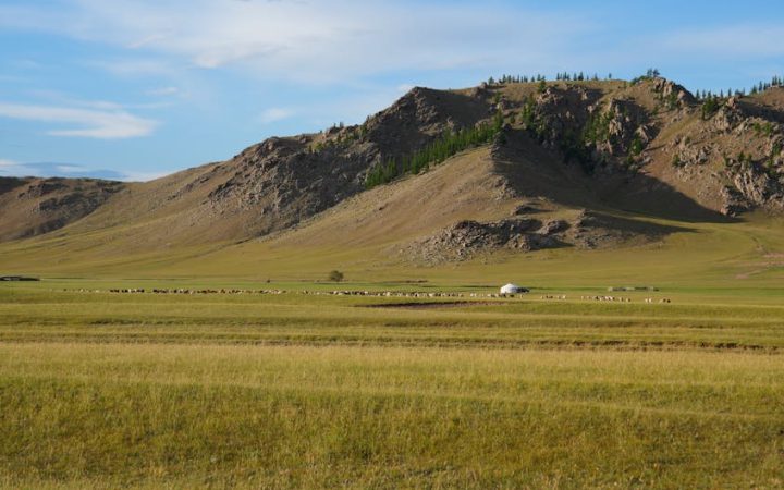 Mongolia Travel Guide: Honest Tips (2026)
