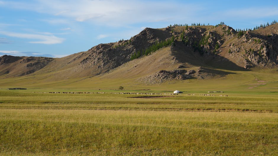 Mongolia Travel Guide: Honest Tips (2026)