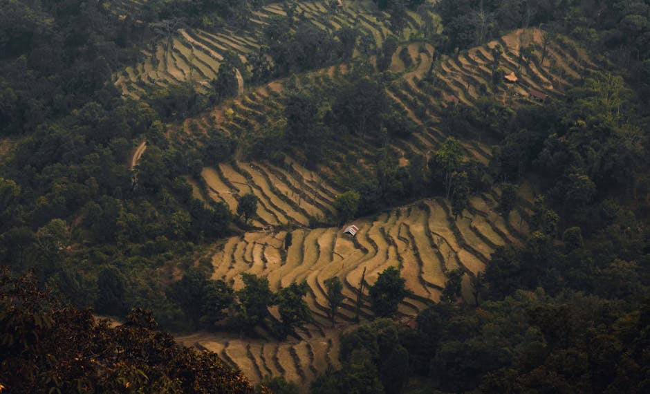 nepal travel