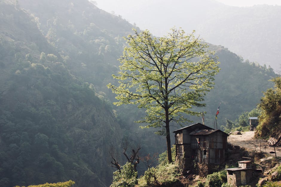 nepal travel