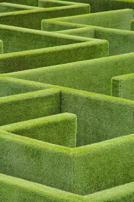 The sprawling Yancheng Maze in China, a greenscape labyrinth that challenges both direction and mindset.