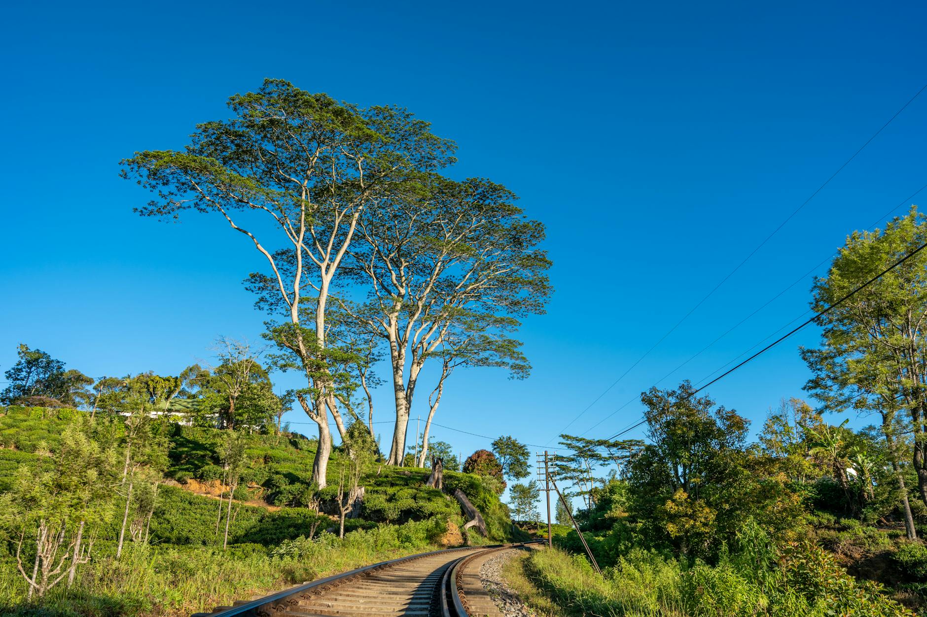 Wide-angle view of a railway curving through lush greenery under a clear blue sky in Sri Lanka.