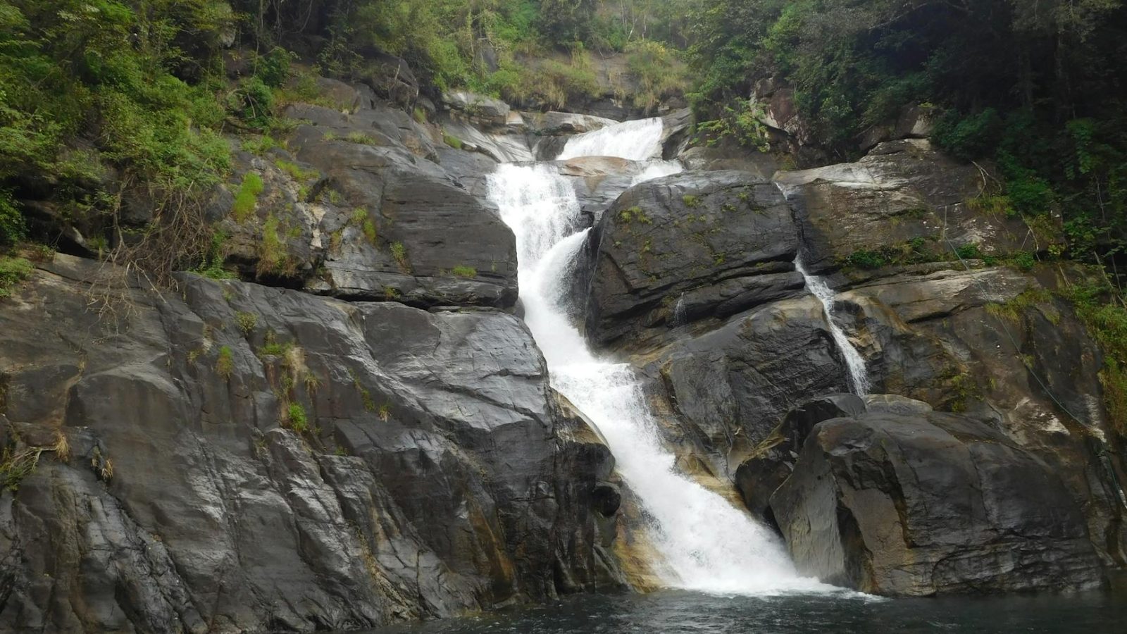 Wayanad Nature Trip 2026: Edakkal Caves, Banasura Dam & 5-Day Guide