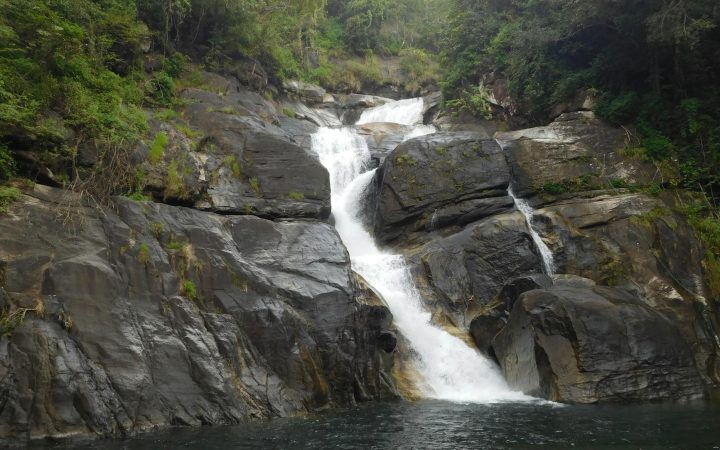Wayanad Nature Trip 2026: Edakkal Caves, Banasura Dam & 5-Day Guide