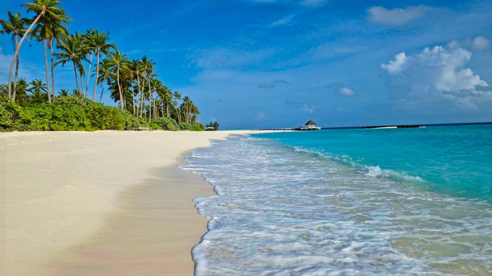 Andaman 2026: Havelock, Neil & Port Blair Complete Guide