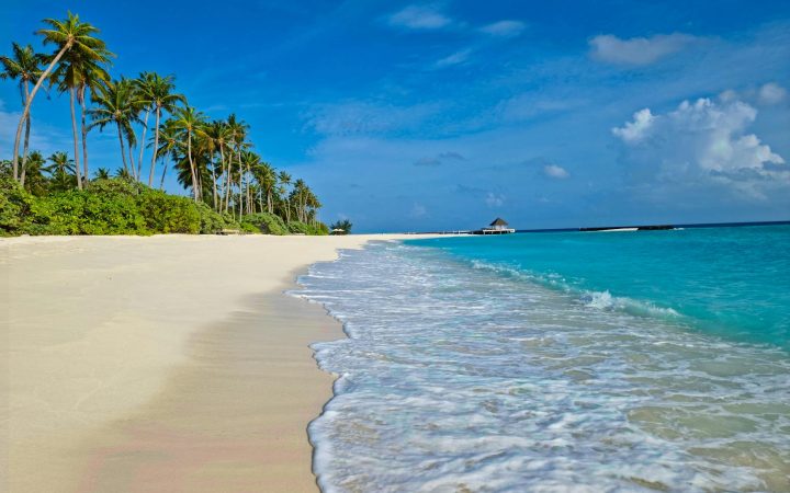 Andaman 2026: Havelock, Neil & Port Blair Complete Guide