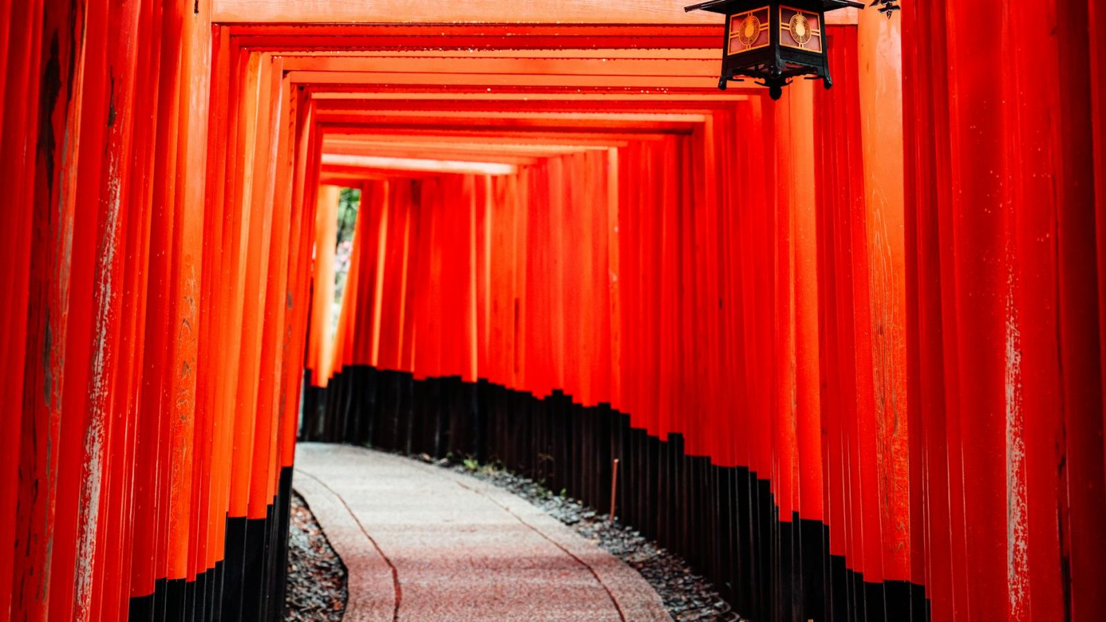 Japan 14-Day Itinerary 2026: Tokyo to Kyoto, Osaka & Cherry Blossoms
